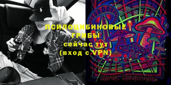 эйфоретик Медногорск