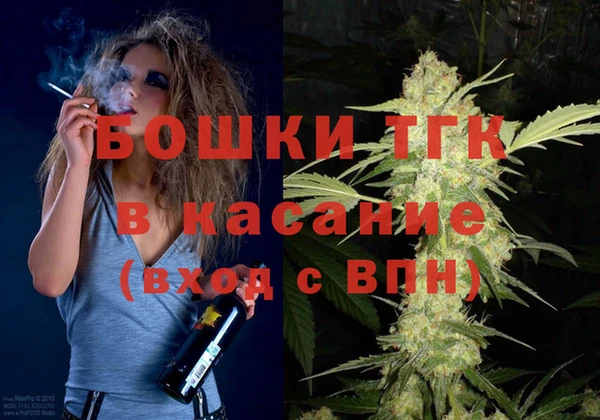 ГАЛЛЮЦИНОГЕННЫЕ ГРИБЫ Михайлов