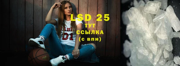 ГАЛЛЮЦИНОГЕННЫЕ ГРИБЫ Михайлов