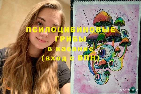 ГАЛЛЮЦИНОГЕННЫЕ ГРИБЫ Михайлов