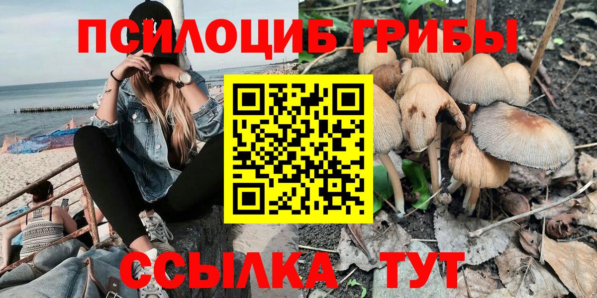 Ртищево  Галлюциногенные грибы Magic Shrooms  Вход с VPN 