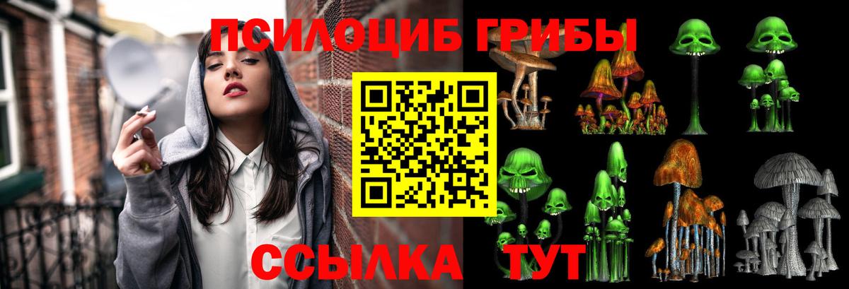 Псилоцибиновые грибы мухоморы Ртищево